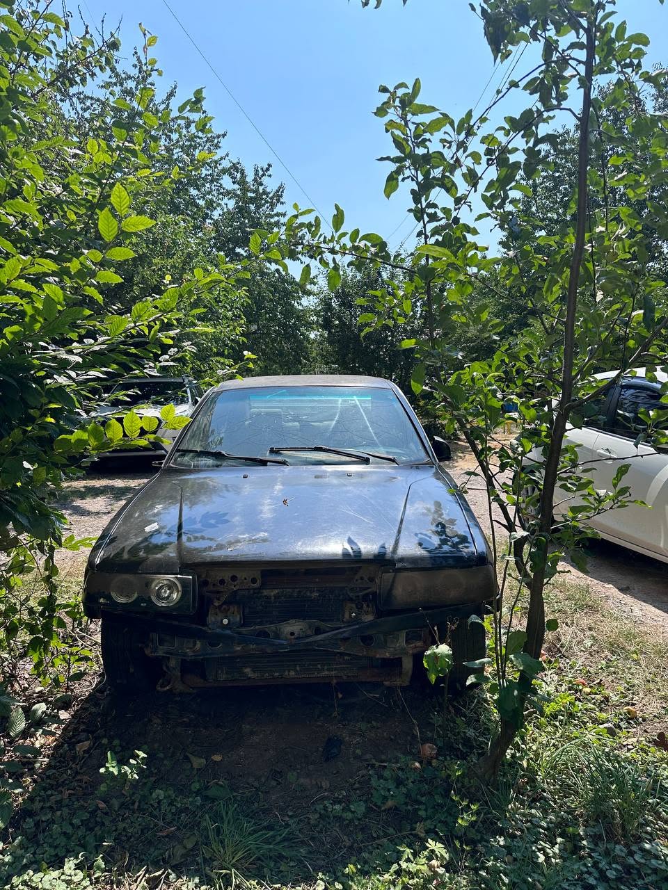 Оприлюднили фото занедбаних вінницьких автівок