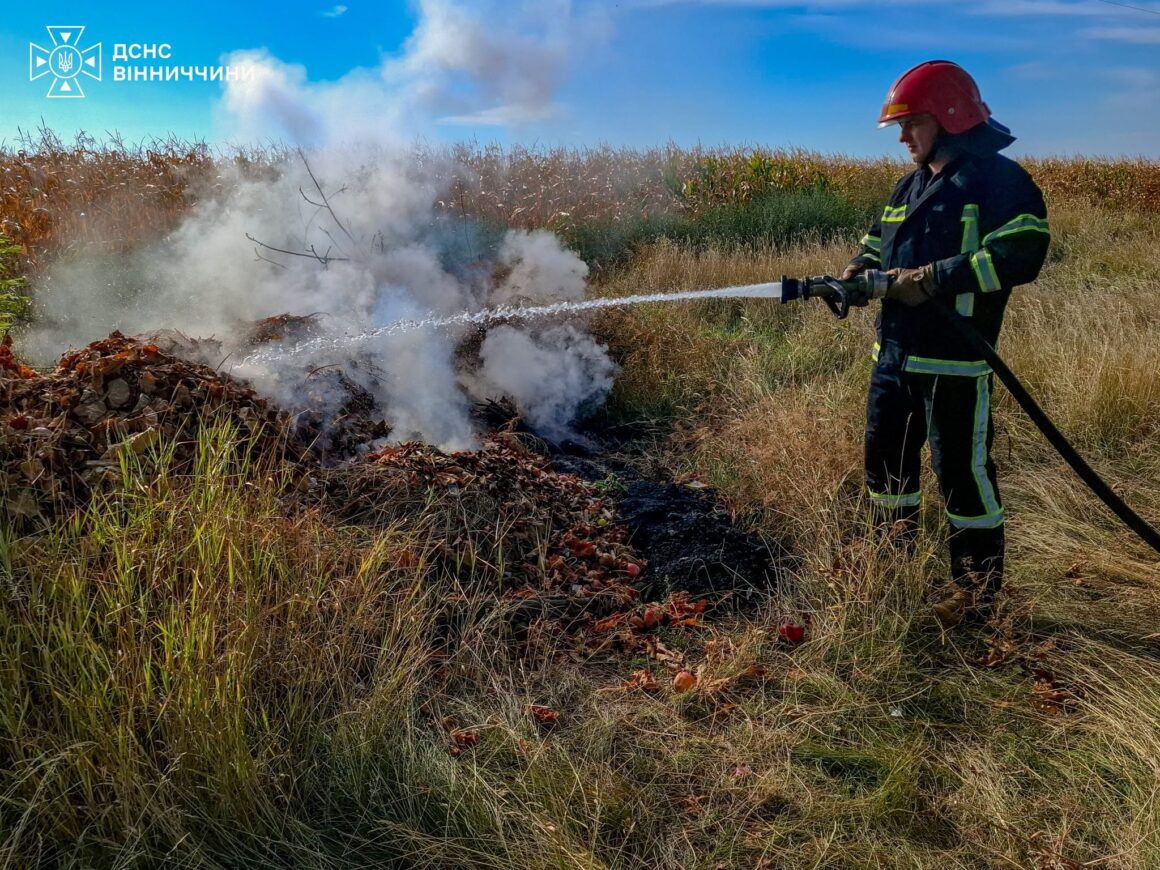 Вісім пожеж ліквідували рятувальники Вінницької області впродовж минулої доби