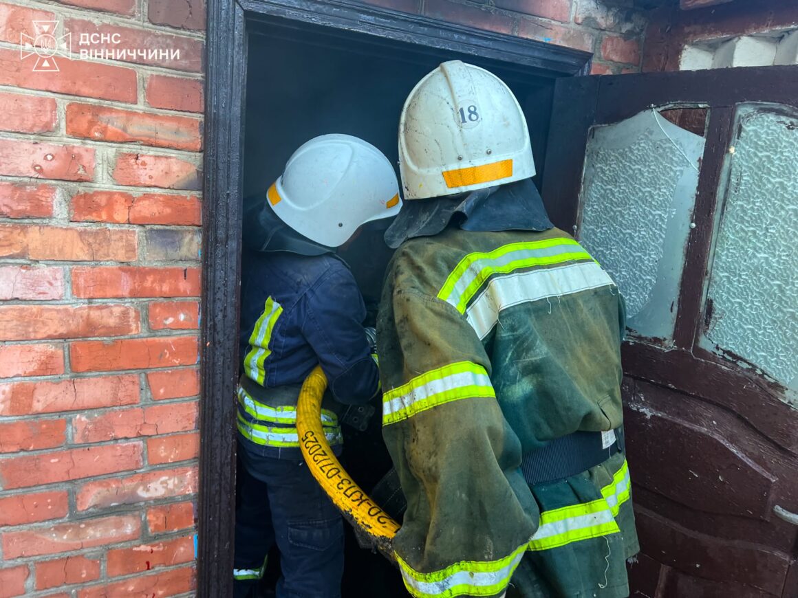 На Вінниччині сталося 8 пожеж, 5 із них — на відкритих територіях