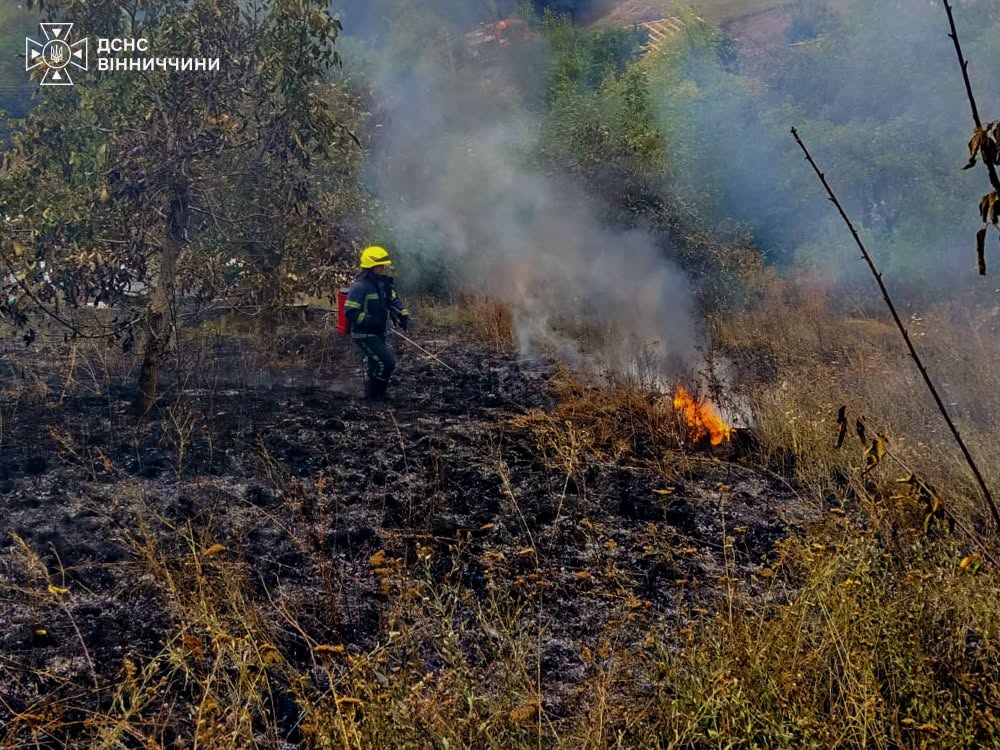 Сім пожеж сталося минулої доби на відкритих територіях Вінницької області