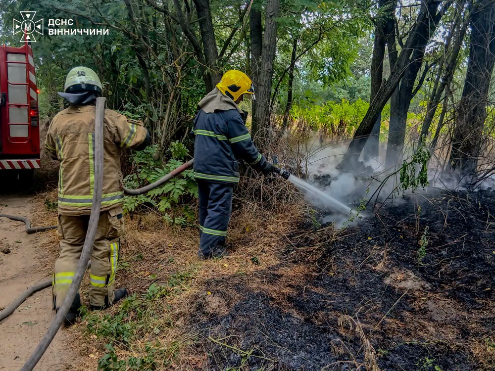 На Вінниччині минулої доби сталося п’ять пожеж