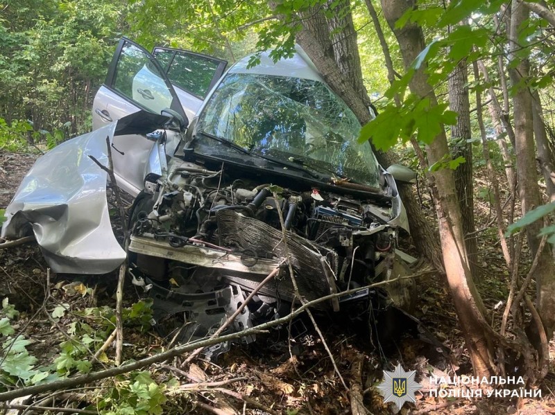 У Жмеринському районі автомобіль Renault злетів у кювет