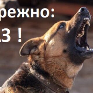 Сказ.