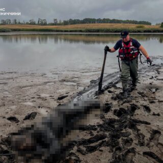 Випадок в ставку.