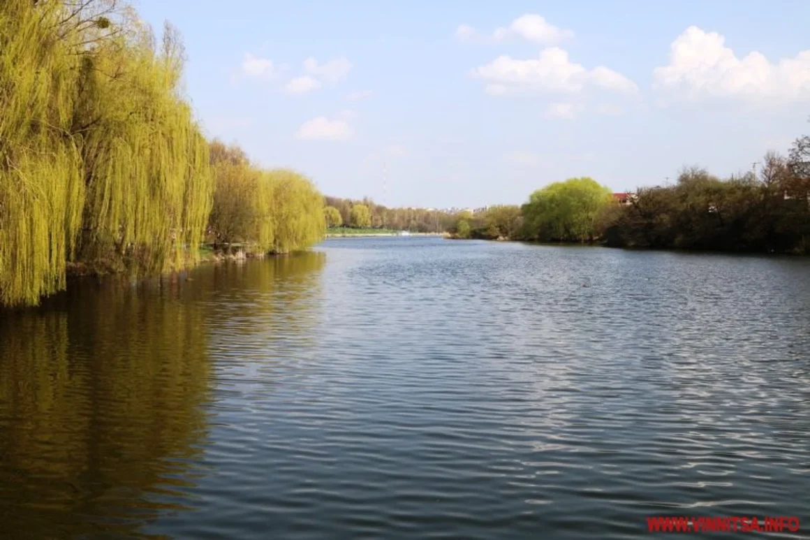 У Вінниці виявили три підводні водостоки, якими зливали нечистоти до Вишенського озера