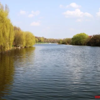 Вишенське озеро