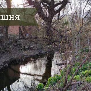 Річка Вишня.