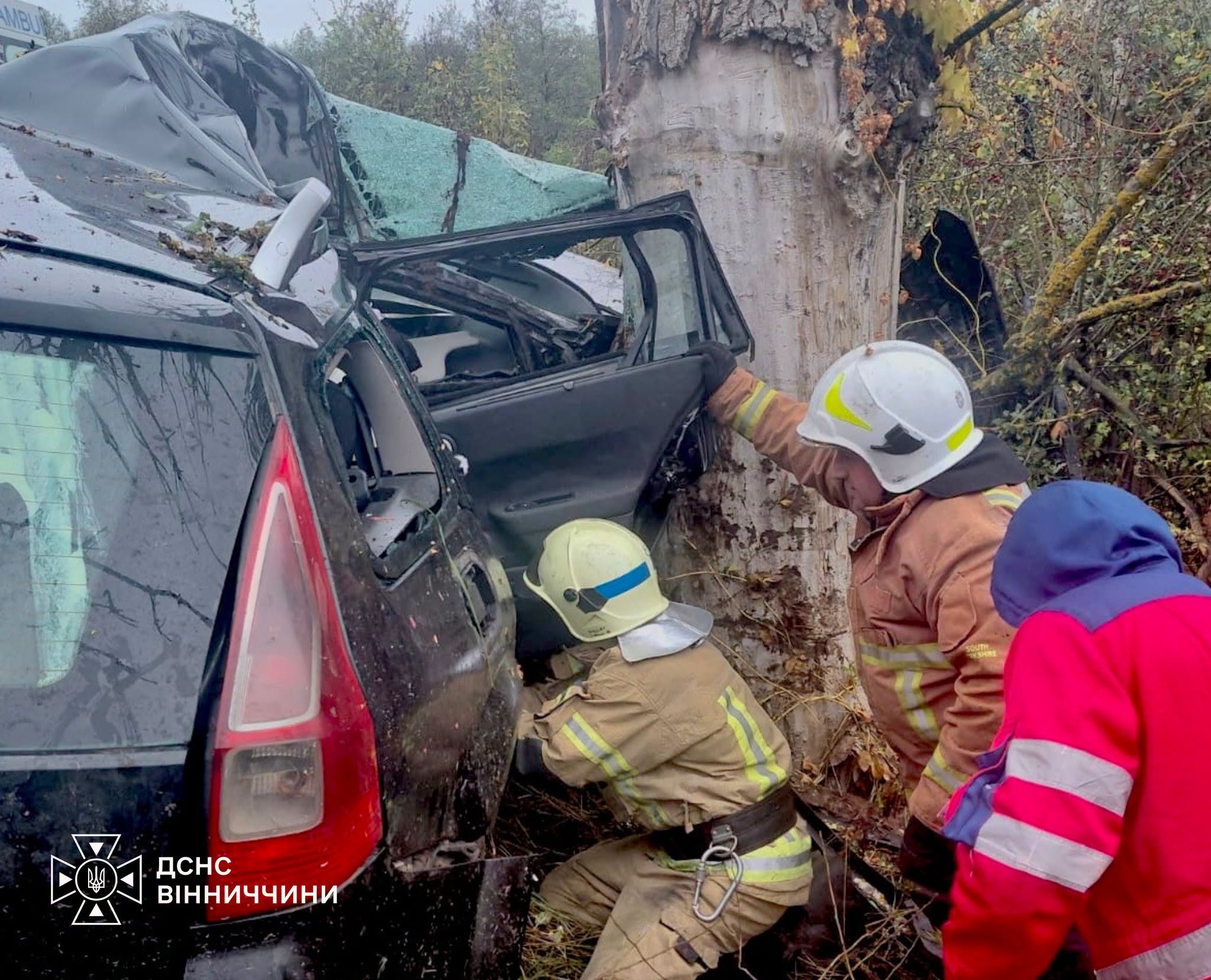 У автоаварії на Вінниччині загинули водій автівки та його син