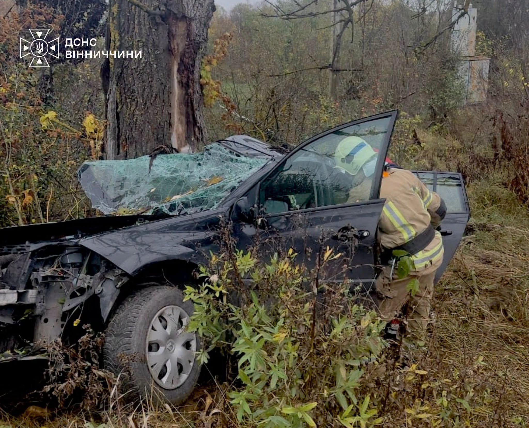У автоаварії на Вінниччині загинули водій автівки та його син