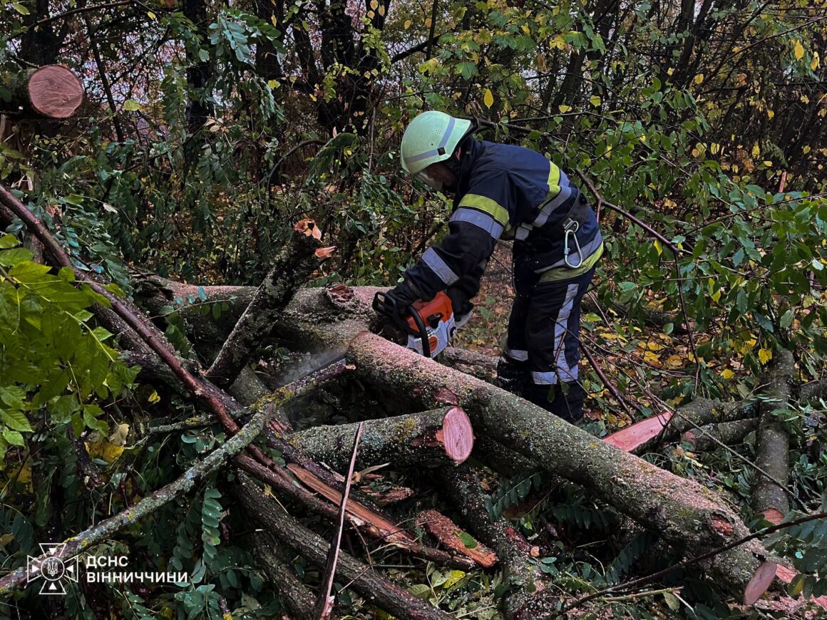 На Вінниччині рятувальники звільняли дерева від дерев