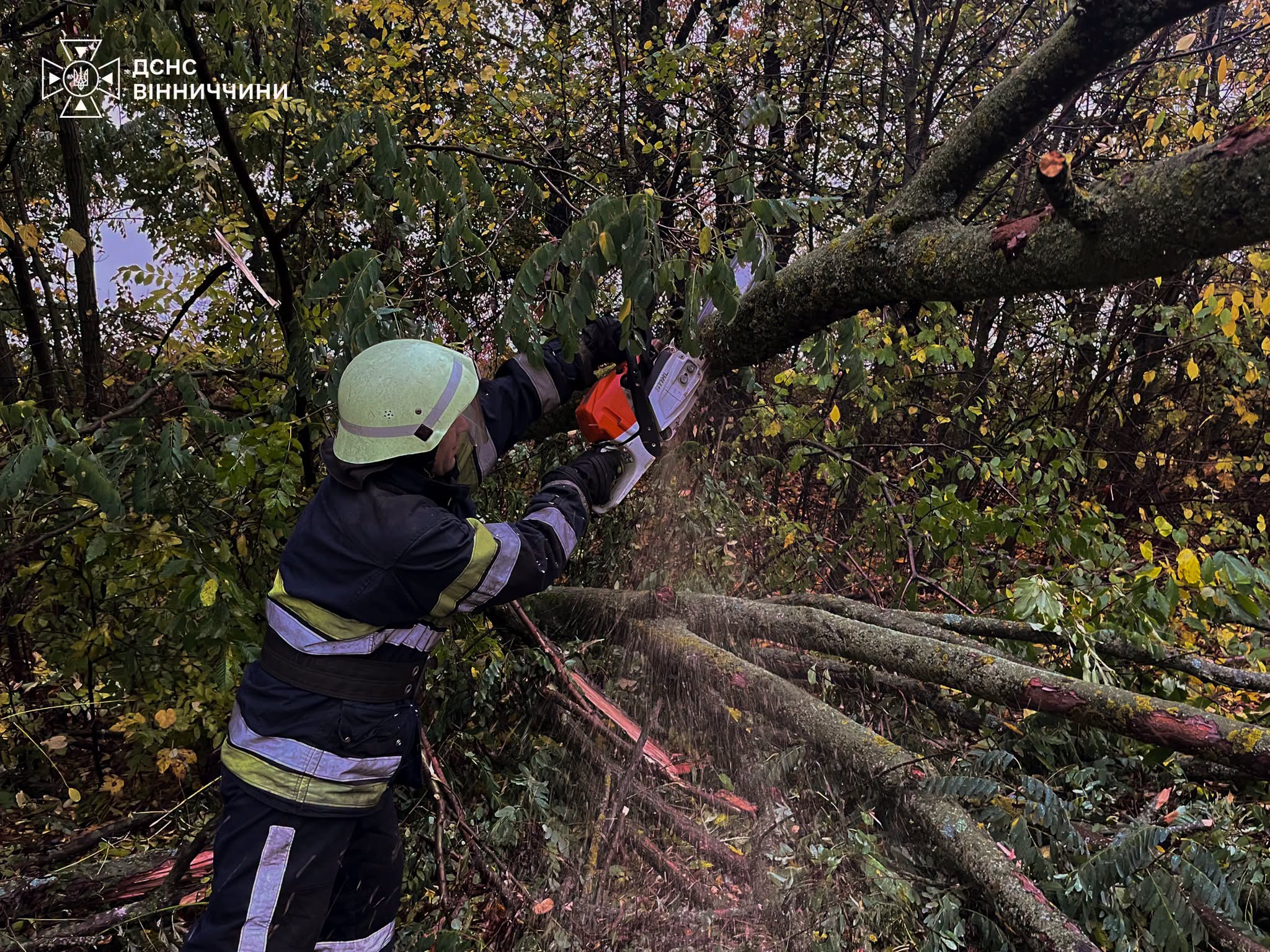 На Вінниччині рятувальники звільняли дерева від дерев