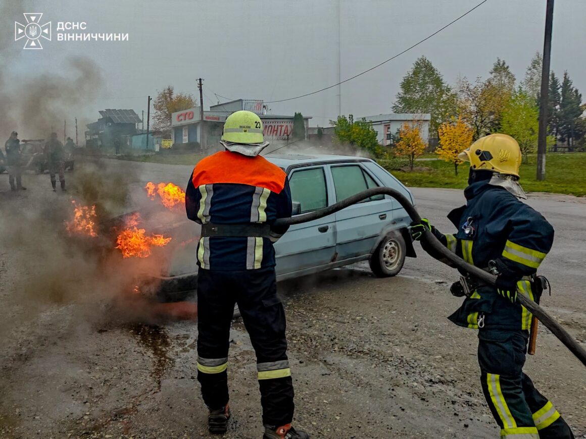 На Вінниччині згорів автомобіль прямо на дорозі