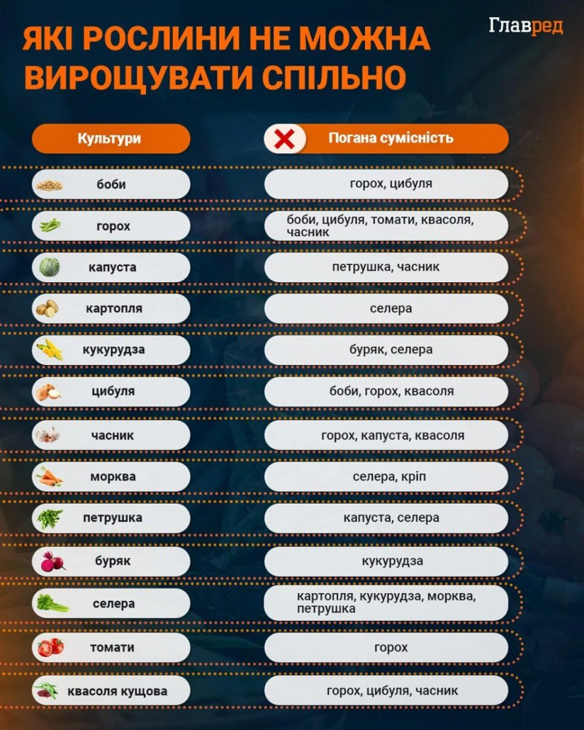 Жовтень на городі: Які культури можна висаджувати під зиму