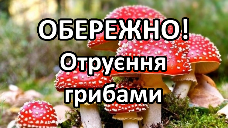 У Вінницькій області з початку осені грибами отруїлося четверо людей