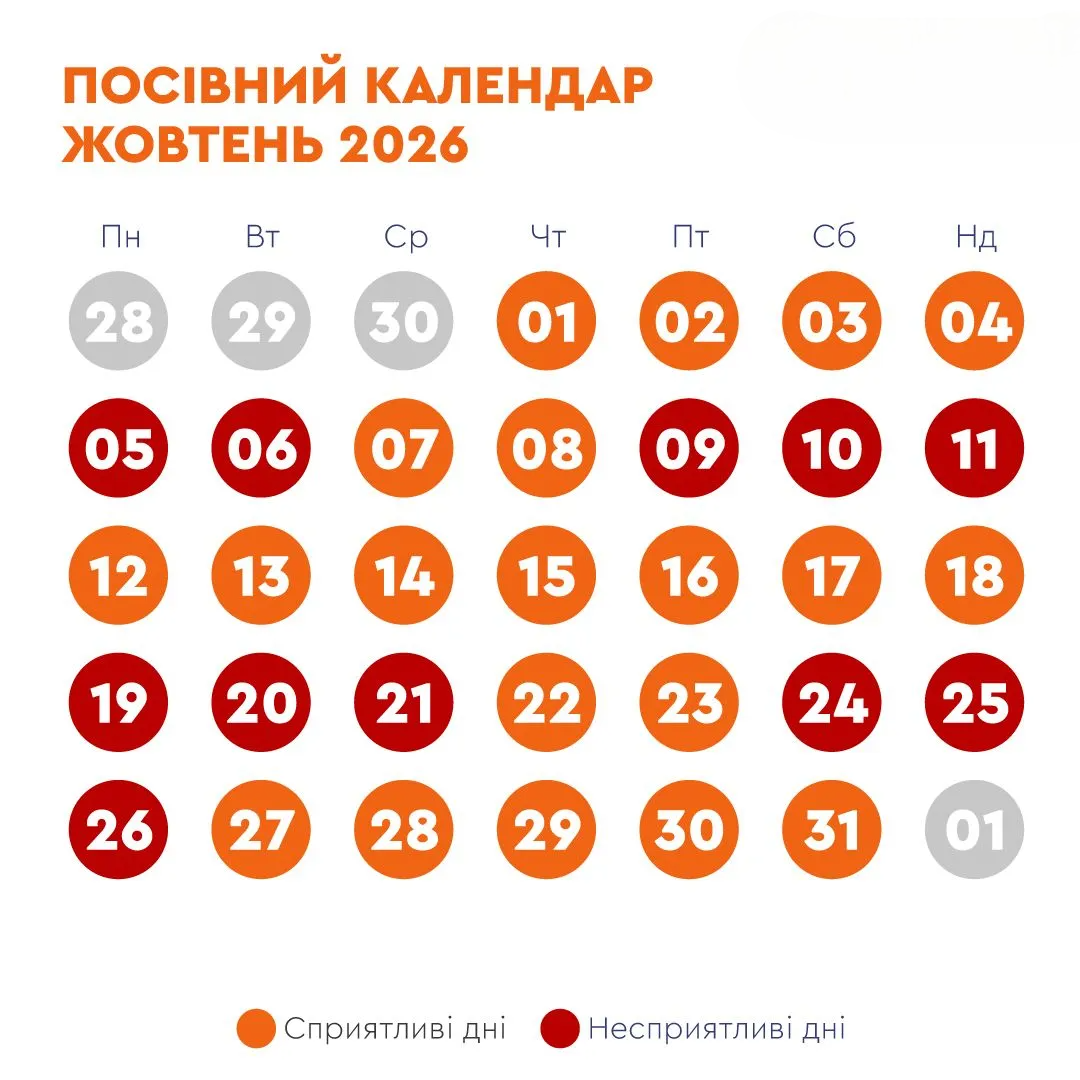 Жовтень на городі та у саді: Сприятливі та несприятливі дні місяця для робіт у саду та на городі