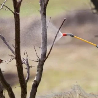 Обприскування.
