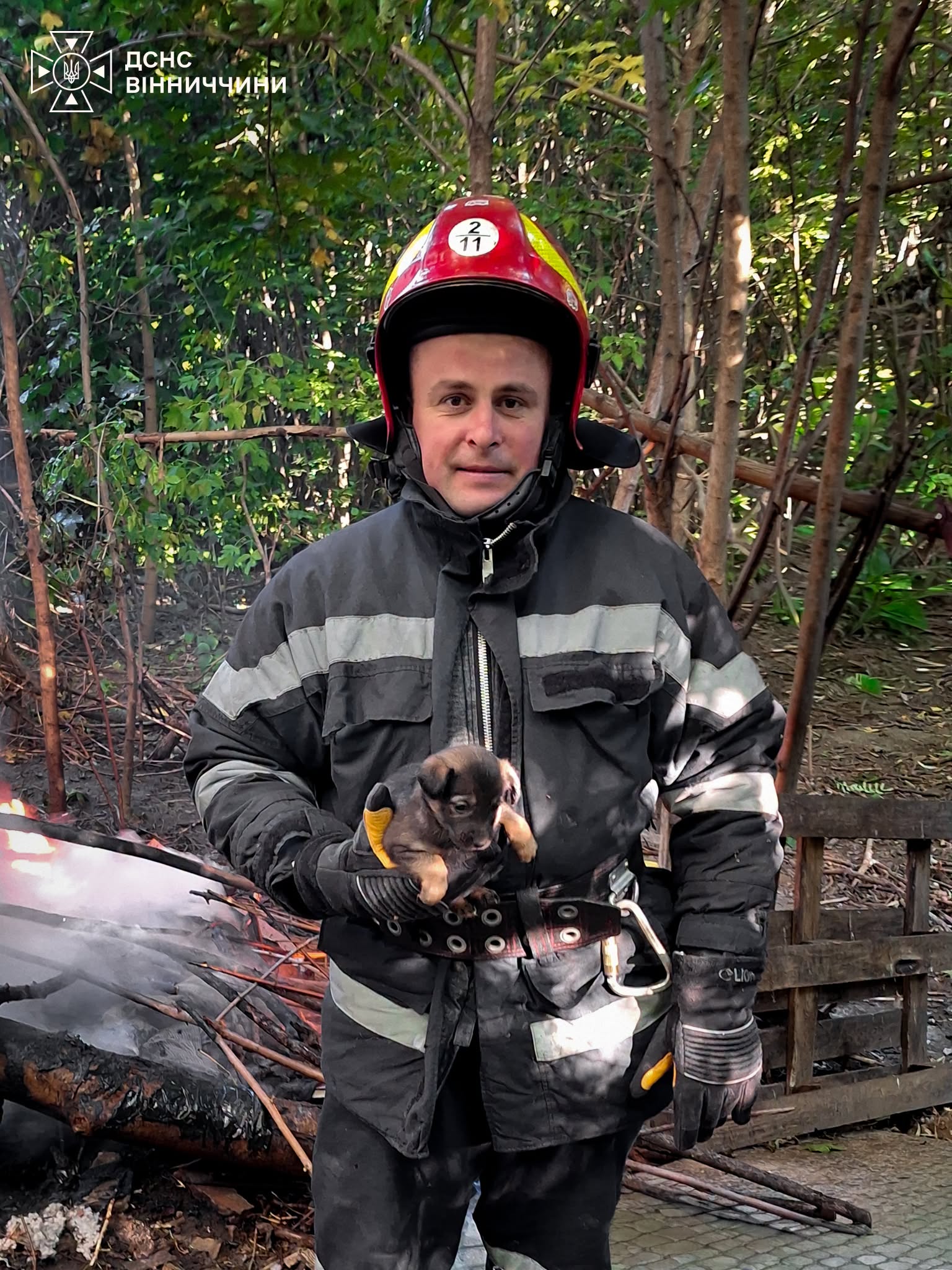 У Вінниці врятували 35 собак під час пожежі