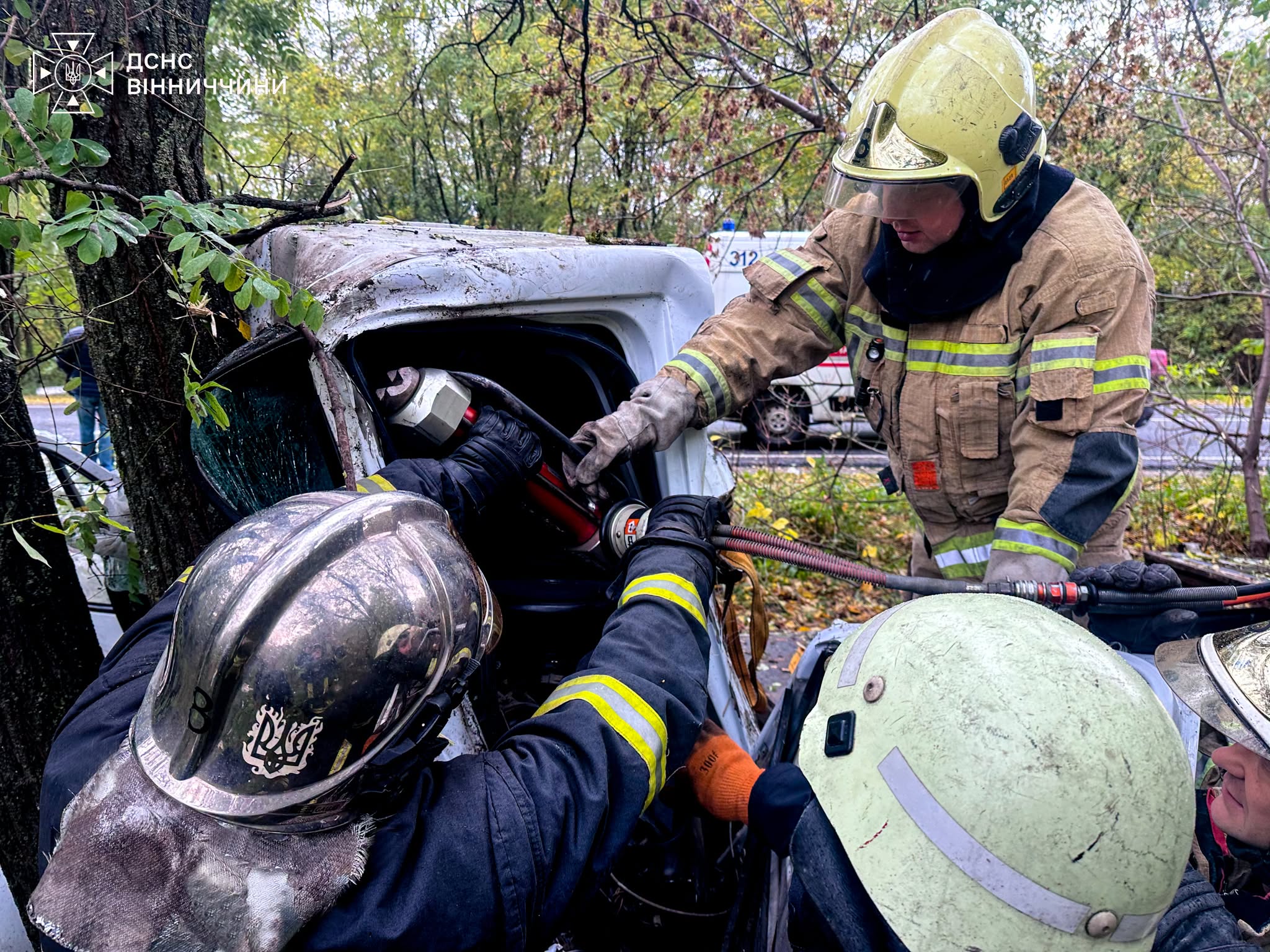 У Вінницькій області вантажівка врізалась в дерево